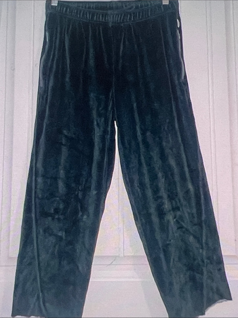 Good American Crushed velvet pull on pants